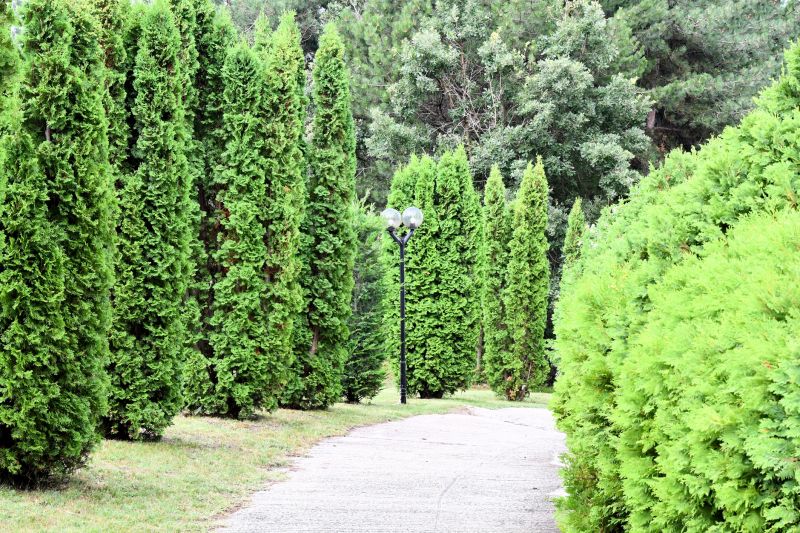 Concrete Pathway Removal